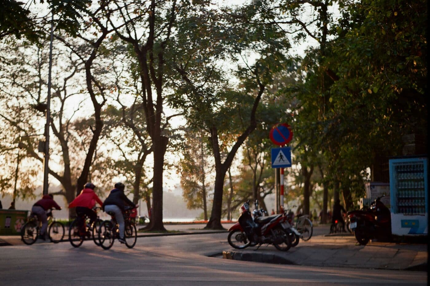 Cyclists on a tree-lined Hanoi street in the late afternoon